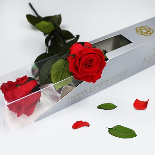 Gdecora Rose éternelle préservée rouge naturelle avec tige 55 cm pour femme, maman, petite amie, grand-mère - Fleur infinie pour anniversaire, Saint Jordi et fête des mères - Roses préservées
