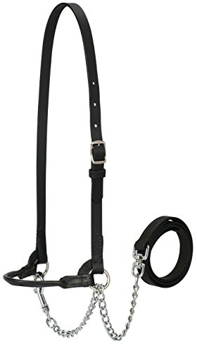 Weaver Leather Livestock Dairy Halter, X-Small, Black