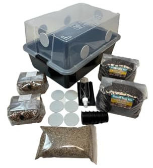 Pilz-Einrohr-Pflanzset, groß, 66Q, komplettes Pilzwachstums-Set, für dungliebende Pilze, inklusive 2 sterilisierten Getreide-Saaw-Beuteln, Bulk-Substrat, Vermiculit, Filter und mehr! Fügen Sie einfach