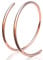 Winziger Roségold-Doppelreifen-Nasenring – Spiralnasenring 20 Gauge Snug Double Nose Piercing Thin Nose Piercings Hoops (Roségold)