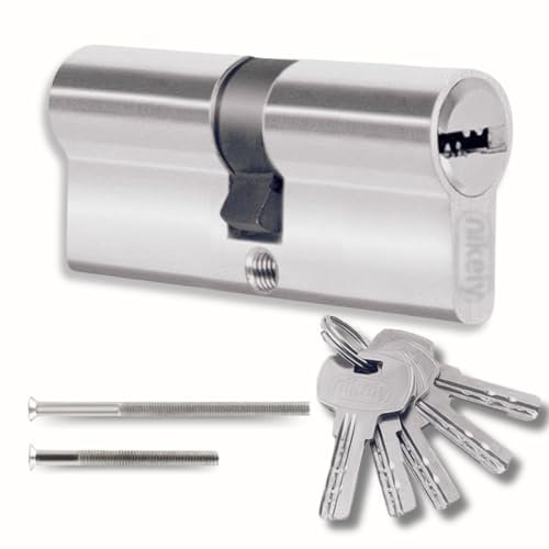 Cylindre pour serrures 40/40 mm avec 5 clés simples, cylindre profilé, ensemble avec deux vis, montable facilement, serrure pour porte et garage, longueur 80 mm