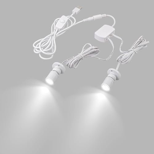 FSLiving Mini Aluminium LED Einbaustrahler, 2 stk Minispot Einbauleuchte mit Transformer, kühles Weiß für Schrank, Flur, Galerien, Geschäfte, Schmuckschrank -1 Watts