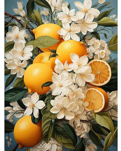 HEIBAGO Malen nach Zahlen für Erwachsene, Obst Olmalerei Malen nach Zahlen Kits für Anfänger, DIY Malen nach Zahlen Leinwand Obst Kunstbilder für Wanddekor,30X40cm