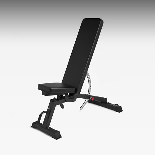 Panca Regolabile Home Gym, Esercizi su Panca Verticale 90 gradi, Inclinata, Declinate e Piana (Nero 2.0)