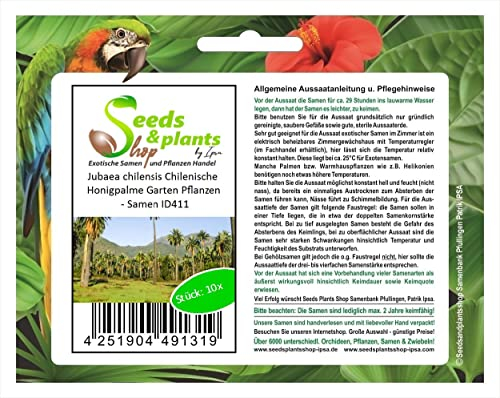 Stk - 10x Jubaea chilensis Chilenische Honigpalme Garten Pflanzen - Samen ID411 - Seeds & Plants Shop by Ipsa