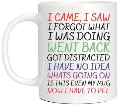 Vellivar Funny Mugs, I Came I Saw I Forgot Mug, Quirky Gifts for Women Leaving Gifts for Men Novelty Mug Retirement Gift Birthday Christmas Funny Gift Mug Coffee Cup Ceramic Tea Mug 350ml White