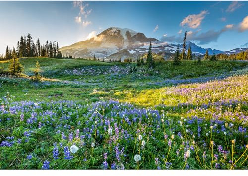MISITU Mini Jigsaw Puzzle for Adults - 1000 Pieces Mountain Meadow Landscape - 15 x 10.2 Inch