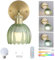 Vintage Battery Operated Wireless Wall Sconces, Rechargeable Gold Wall Lights, Green Tulip Glass Lampshad With Remote Dimmable Wall Lighting Indoor, Led Wall Lamp Fixtures For Bedroom, Living Room