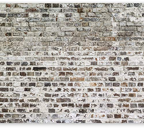 murando - Carta da parati Mattone Ottico 400x280 cm Fotomurali in TNT Murale alla moda Decorazione da Muro XXL Poster Gigante Design Carta per Pareti Brick Muro Beton 3D f-A-0411-a-b