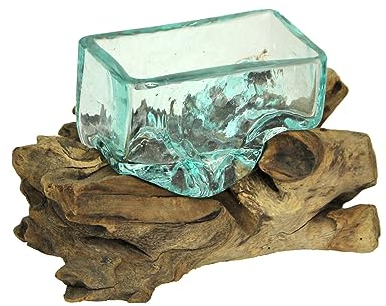 Rectangular Glass On Driftwood Decorative Bowl/Vase/Terrarium Succulent Planter
