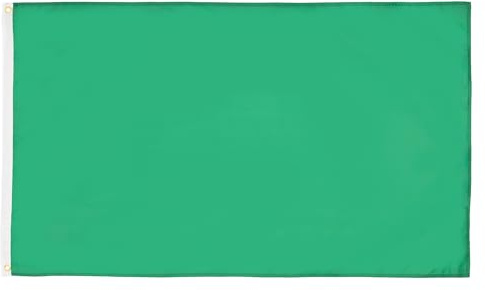 AZ FLAG Set da 2 Bandiere Monocolore Verde 90x60 cm 2 Occhielli | Uso interno ed esterno bandiera decorativa doppie cuciture e bordi rinforzati con occhielli metallici poliestere 100D