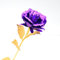 Youngine Creative 24K Oro Fiore Rosa Fiore Pieno Regalo Romantico per Voi con Box, Fatto a Mano e L'Amore Last Forever (Viola)