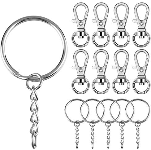 100 Stück Kleine Karabiner Schlüsselanhänger Mini Schlüsselringe 25mm mit Kette 50 Stück, Karabinerhaken schlüsselkarabiner mit Drehgelenk 50 Stück für Schlüssel Schmuck