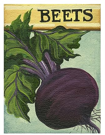 Trademark Fine Art - 'Seed Packets 18 - Beets' Canvas Art - 32x24