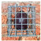 DIGITECK all weather Anti Vandal CCTV camera Cage/Guard PIR COMET-A 13cm x 13cm x 9cm