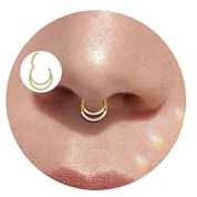 Lantine Gold 16g Septum Piercing Doppelter Zirkonia Septum Ring Nasenpiercing Ring Chirurgenstahl Daith Conch Helix Tragus Piercing Ohr Segmentring Clicker Nasenring 8mm