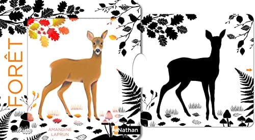 Dans la forêt - Un livre en noir et blanc qui passe en couleurs grâce aux animations, pour les bébés des 6 mois. Les belles couleurs