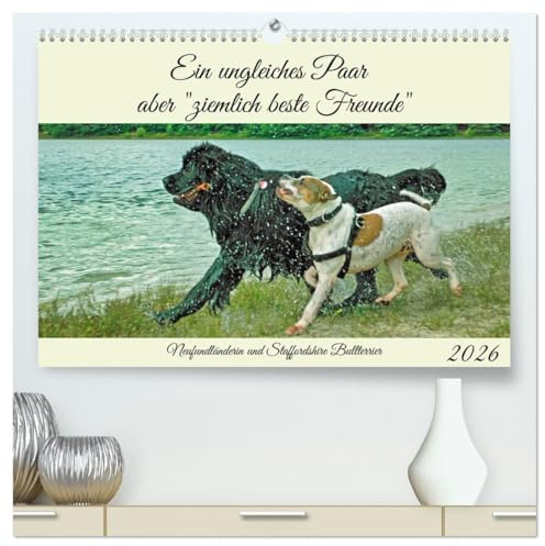 Ein ungleiches Paar aber ziemlich beste Freunde (hochwertiger Premium Wandkalender 2026 DIN A2 quer), Kunstdruck in Hochglanz: Freundschaft zwischen ... Staffordshire Bullterrier (CALVENDO Tiere)