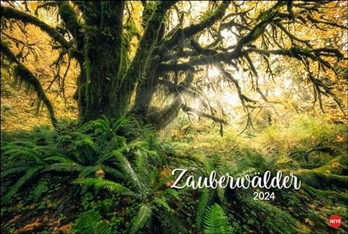 Zauberwälder Edition Kalender 2024. Wandkalender XL mit Fotos verwunschener Wälder und Lichtungen. Kalender-Großformat mit hochwertigen und geheimnisvollen Fotos.