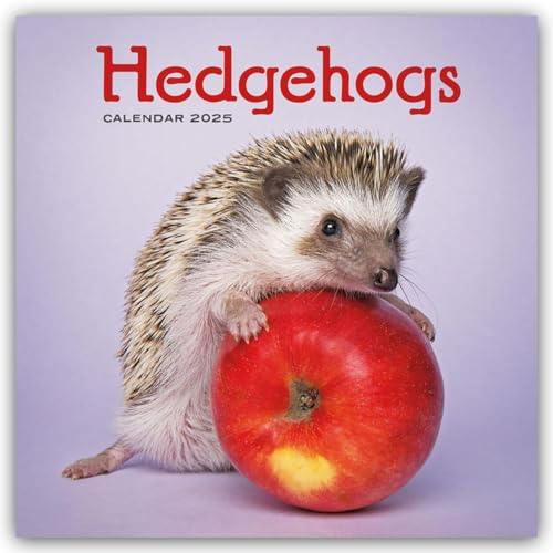 Hedgehogs – Igel 2025 – Wand-Kalender: Original Carousel-Kalender [Mehrsprachig] [Kalender] (Wall-Kalender)