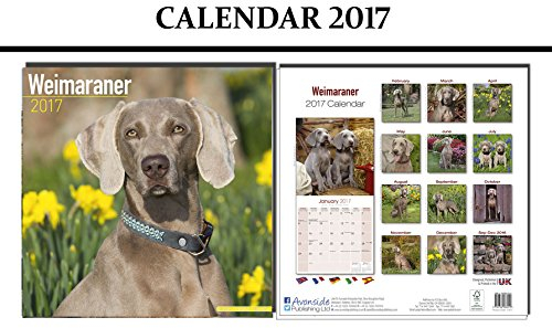 Die erfolgreiche Eigenbedarfskündigung: So setzen Sie Ihren Eigenbedarf durch legal und effizient