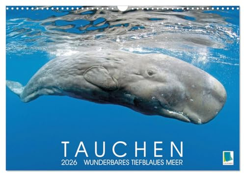Tauchen: Wunderbares tiefblaues Meer (Wandkalender 2026 DIN A3 quer), CALVENDO Monatskalender: Großartige Unterwasseraufnahmen in der blauen Tiefe: Faszination Tauchen (CALVENDO Sport)