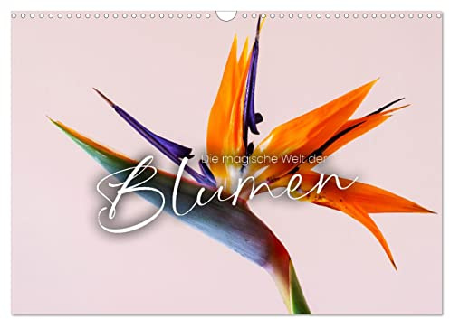 Die magische Welt der Blumen (Wandkalender 2026 DIN A3 quer), CALVENDO Monatskalender: Verführend schön. (CALVENDO Natur)