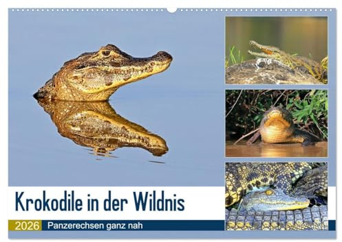 Krokodile in der Wildnis (Wandkalender 2026 DIN A2 quer), CALVENDO Monatskalender: Krokodile - die Welt der Riesenechsen (CALVENDO Tiere)