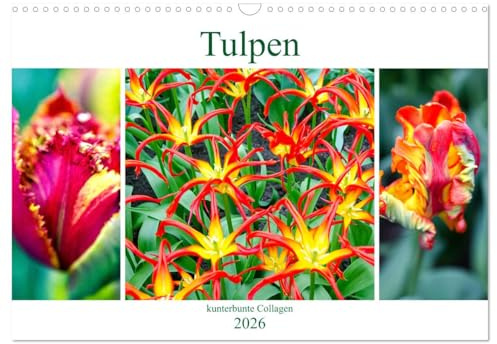 Tulpen - kunterbunte Collagen (Wandkalender 2026 DIN A3 quer), CALVENDO Monatskalender: Kunterbunte Schönheiten - Tulpencollagen. (CALVENDO Natur)