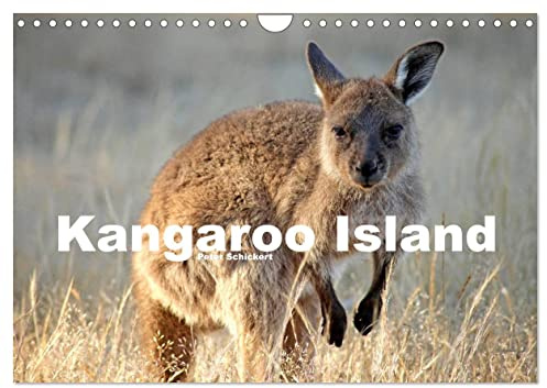 Kangaroo Island (Wandkalender 2026 DIN A4 quer), CALVENDO Monatskalender: 13 Reisefotos der traumhaften Insel im Süden Australiens (CALVENDO Orte)