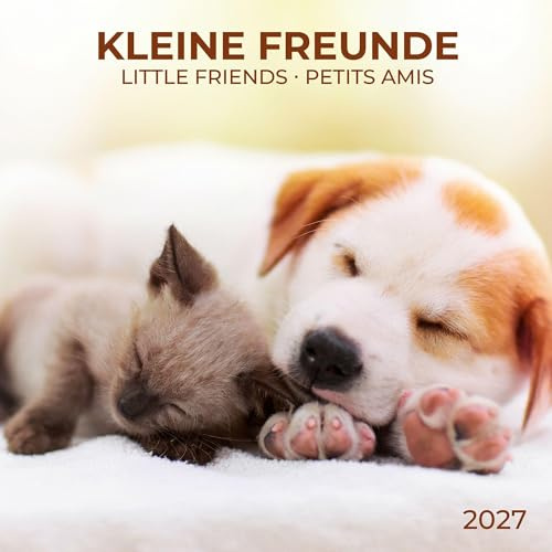 Kleine Freunde / Little Friends 2027: Kalender 2027 (Artwork Edition)