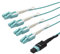 StarTech.com MPO8LCPL1M MTP auf LC Breakout Kabel, 1 m, OM3 Multimode, 40 GB, Pull Tab, Plenum, MPO/MTP Stecker, Glasfaserkabel