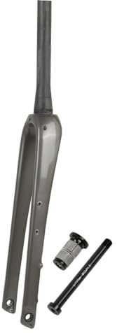 Forcella Rigida Bici da Strada Gravel 1-1/2 Tubo Conico Forcella in Carbonio 700 * 45C Freno A Disco Forcella Anteriore per Bici 12 * 100mm ASSE Passante(Gray)