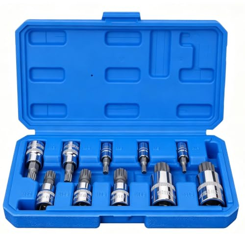 Spline Socket Bit Set 10pcs, Square Triple Silver M4 - M18 | Cr-V Sockets and S2 Steel 1/4-Inch for Home, Workshop Repairs