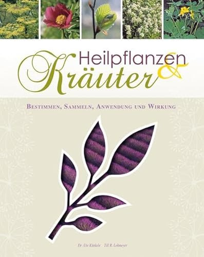 Heilpflanzen & Kräuter