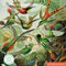Puzzle - Ernst Haeckel, Kolibris: Unser faszinierendes, hochwertiges 1.000-teiliges Puzzle (73,5 x 51 cm) in Stabiler Kartonverpackung