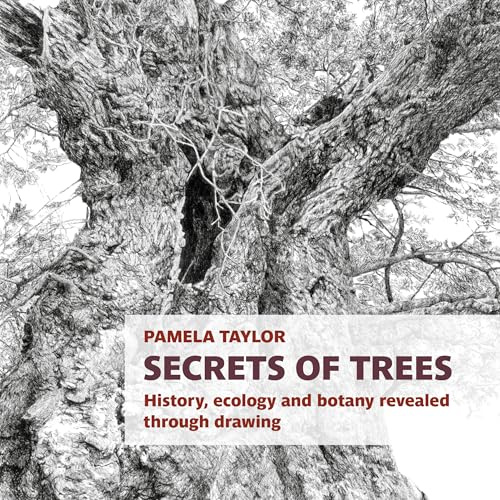 Two Rivers Press Secrets of Trees History, ecology and botany revealed through drawing (Botanical Art Portfolios).
