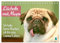 Lächeln mit Mops (Tischkalender 2025 DIN A5 quer), CALVENDO Monatskalender: Der Mops: niedlicher Hund mit Charakterkopf (CALVENDO Spass)