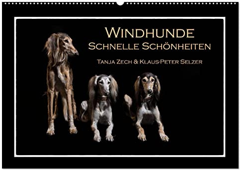 Windhunde - Schnelle Schönheiten (Wandkalender 2026 DIN A2 quer), CALVENDO Monatskalender: Überblick über diverse Windhundrassen, fotogrfaiert im ... mal nicht auf der Rennbahn (CALVENDO Tiere)