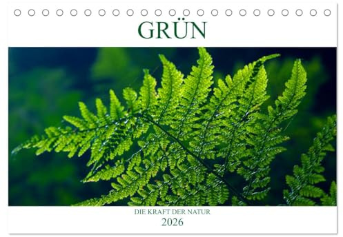 GRÜN Die Kraft der Natur (Tischkalender 2026 DIN A5 quer), CALVENDO Monatskalender: Farben wirken auf Körper und Seele. GRÜN lässt uns tief durch atmen. Energie tanken ! (CALVENDO Natur)