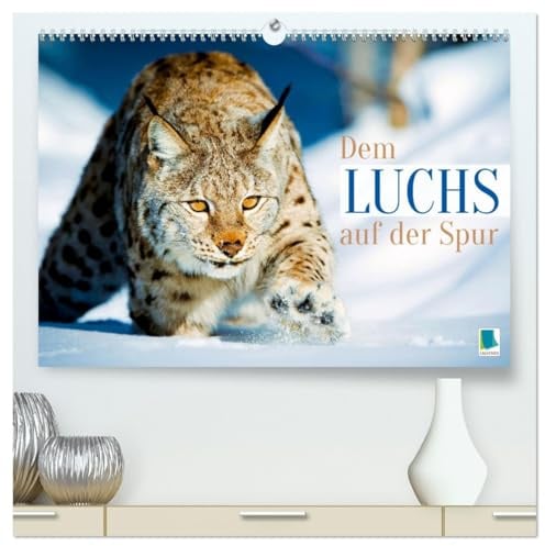 Dem Luchs auf der Spur (hochwertiger Premium Wandkalender 2026 DIN A2 quer), Kunstdruck in Hochglanz: Luchse: Auf der Pirsch mit leisen Pfoten (CALVENDO Tiere)