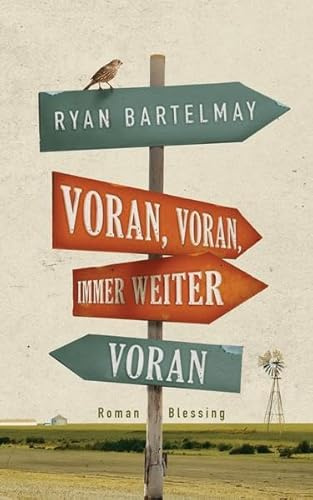 Voran, voran, immer weiter voran: Roman