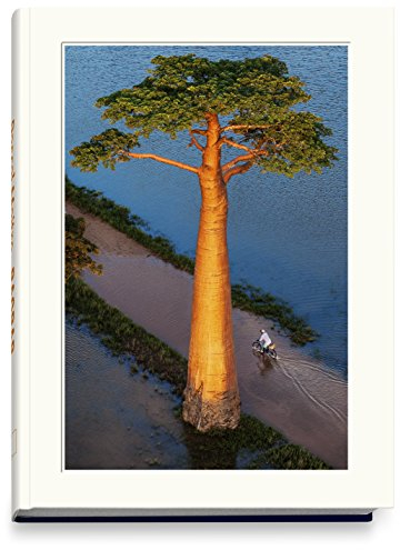 BAOBAB: Der Zauberbaum