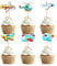 Blumomon 24 Pack Airplane Aircraft Plane Cupcake Toppers Baby Shower Kids Birthday Party Favors Supplies Decoration Airplane Food Picks for Airplane Themed Party Baby Shower Supplies
