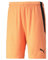 Puma Herren Teamliga Shorts, Neon Citrus Black, L