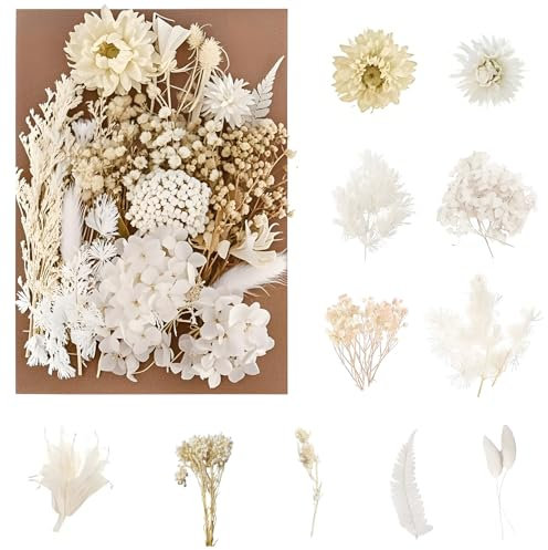 jatimdotin Trockenblumen, Natürliche Getrocknte Blumen, Getrocknete Blumen Zum Basteln für DIY Scrapbook Zubehör Handgemachte Heimdekoration Hochzeit (Weiß)