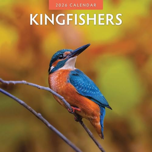 Kingfishers – Eisvögel 2026 – 16-Monatskalender: Original Red Robin Publishing Ltd-Kalender [Mehrsprachig] [Kalender] (Wall-Kalender)