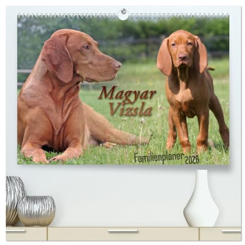Familienplaner - Magyar Vizsla (hochwertiger Premium Wandkalender 2026 DIN A2 quer), Kunstdruck in Hochglanz: Magyar Vizsla Kalender zum eintragen von Geburtstagen und Terminen (CALVENDO Tiere)