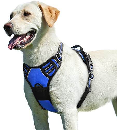 Eagloo Hundegeschirr Grosse Hunde, Anti Zug Hundegeschirr mit Reflexstreifen und Kontrolle, Verstellbar und Einstellbar Geschirr Hund Groß, Brustgeschirr für Labrador, Blau, L