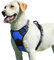 Eagloo Dog Harness Large Dog, No Pull Harness with Front Back Clips, Adjustable Pet Walking Vest, Soft Padded Pet Vest, Reflective No-Choke Breathable with Easy Control Handle, Blue, L